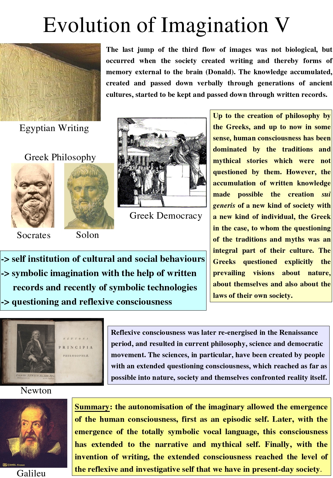 Evolution of Imagination V